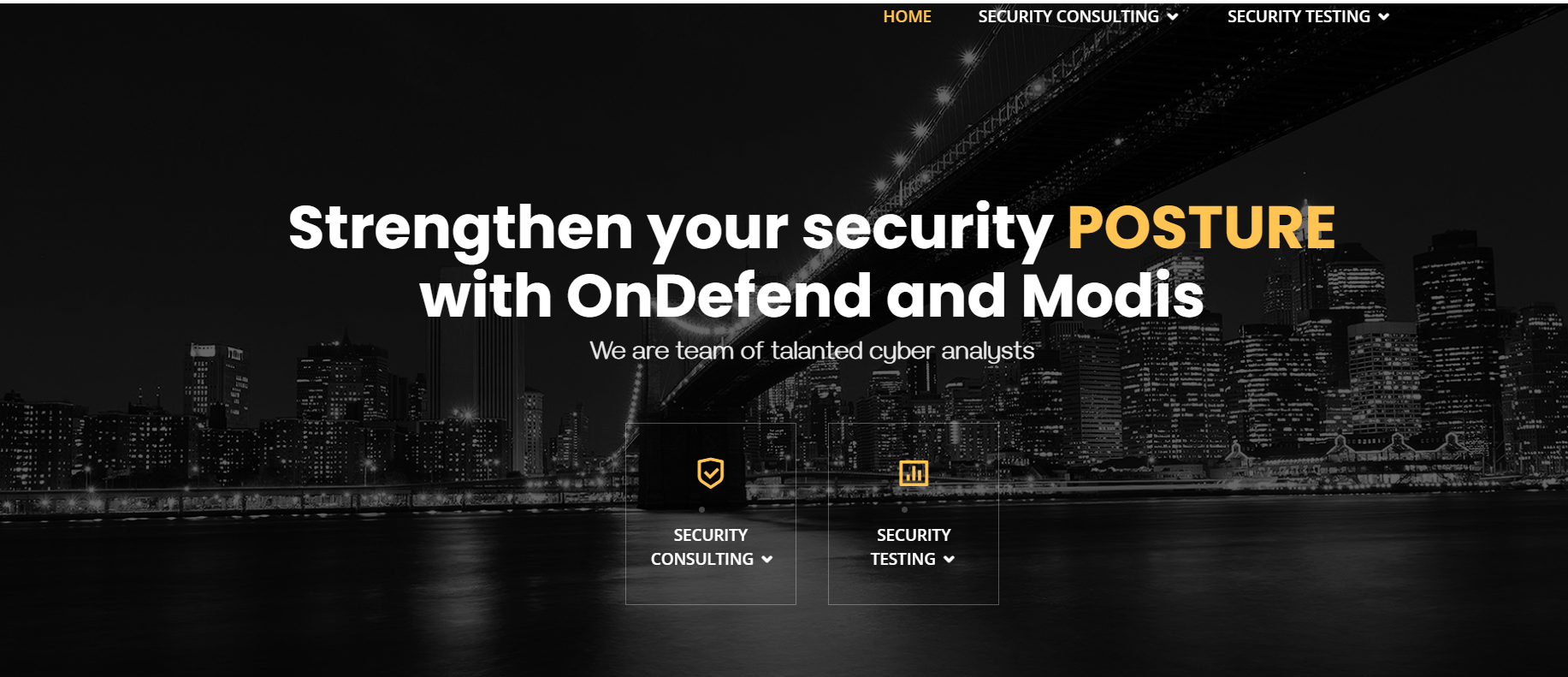 First OnDefend Website By Liz